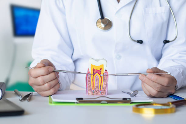 Best Emergency Wisdom Teeth Removal in Berkley, MI